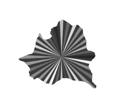 page-icon